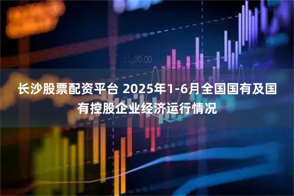 长沙股票配资平台 2025年1-6月全国国有及国有控股企业经济运行情况
